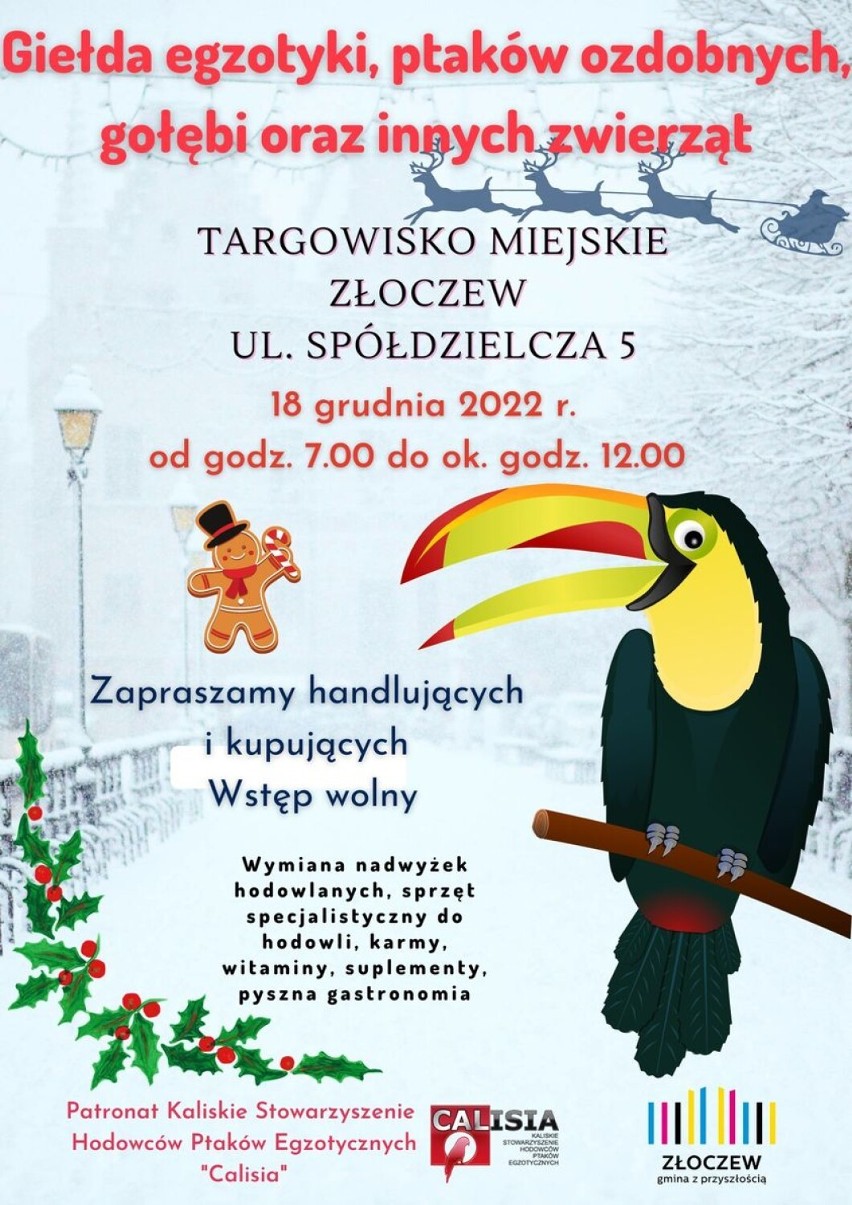 Przedświąteczny weekend w Złoczewie zapowiada się fantastycznie. Będą trzy imprezy z Jarmarkiem Bożonarodzeniowym na czele PLAKATY