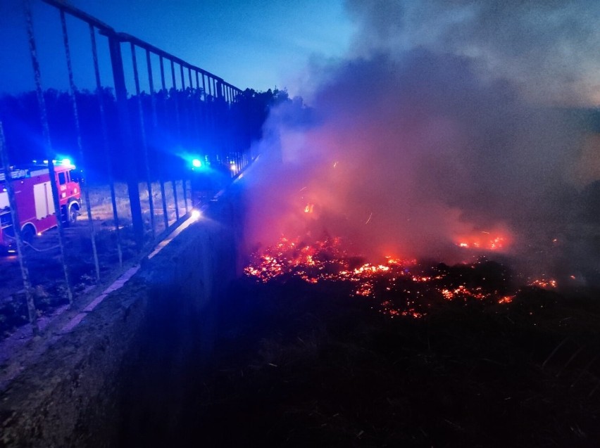 Pożar w Smogulcu pod Gołańczą. Interweniowali strażacy