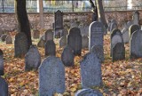 Chrzanów. Cmentarz pełen historii. Zobacz jakie tajemnice skrywa żydowska nekropolia
