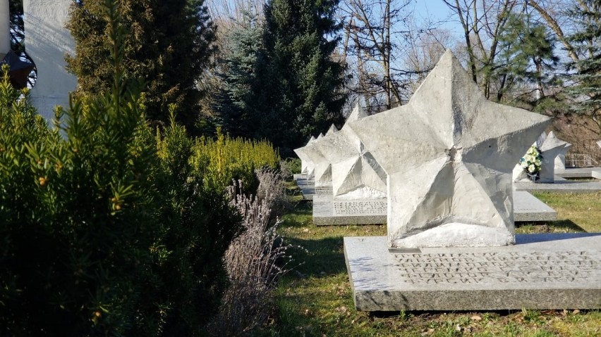 Cmentarz radziecki w Pruszczu
