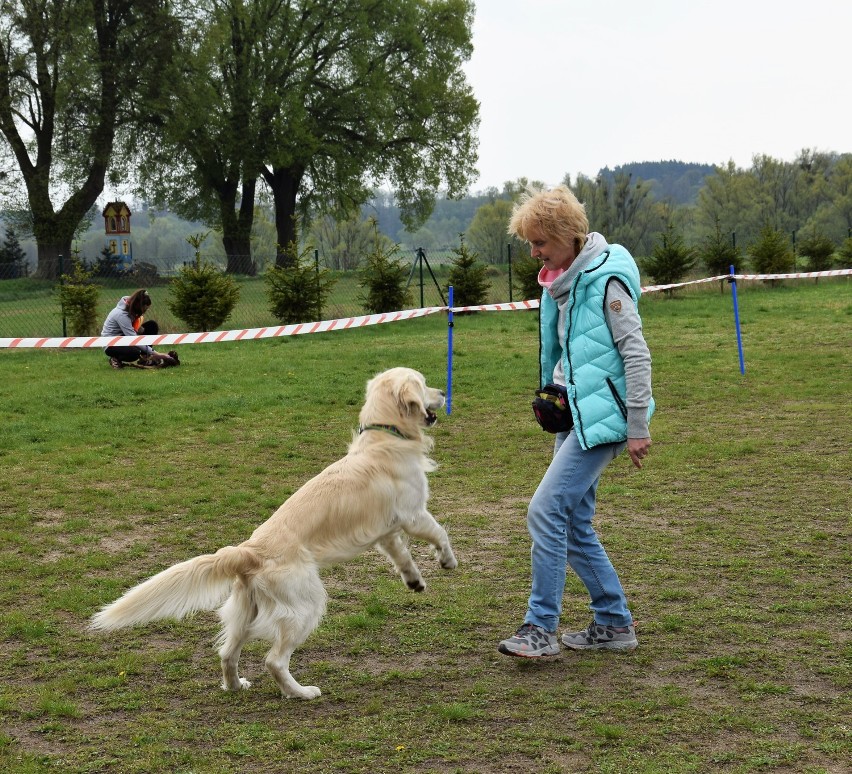  Brzeźno Wielkie. Szkoła odpowiedzialna społecznie. Pierwsze zawody obedience w Brzeźnie Wielkim i pokaz psich sztuczek