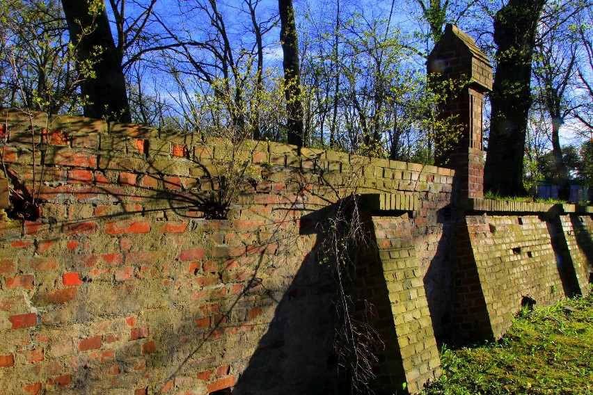 Zielonogórski Park Tysiąclecia - mur, na murze, z muru [zdjęcia]