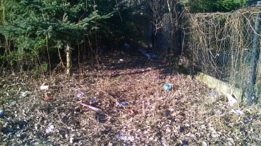 Zniknęły śmieci z działki przy ul. Witosa