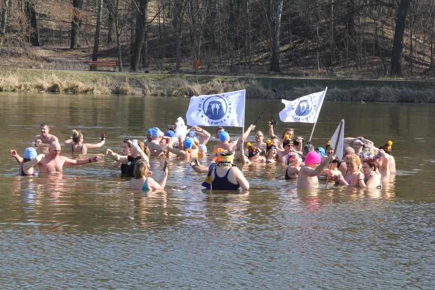 Grupa "Morsy z Lisowic" oficjalnie zakończyła sezon zimnych kąpieli
