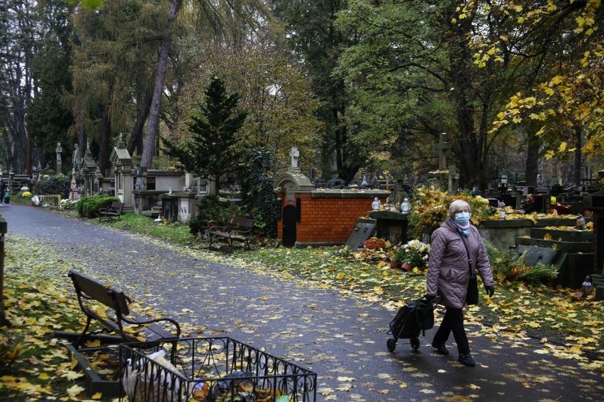 Pogrzeby odbędą się 7 i 14 listopada, i nie jest wykluczone,...