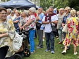 X Rodzinny Piknik Seniora w Gliwicach. W Parku Chopina zebrały się tłumy. To już 10. edycja wydarzenia - zobacz ZDJĘCIA