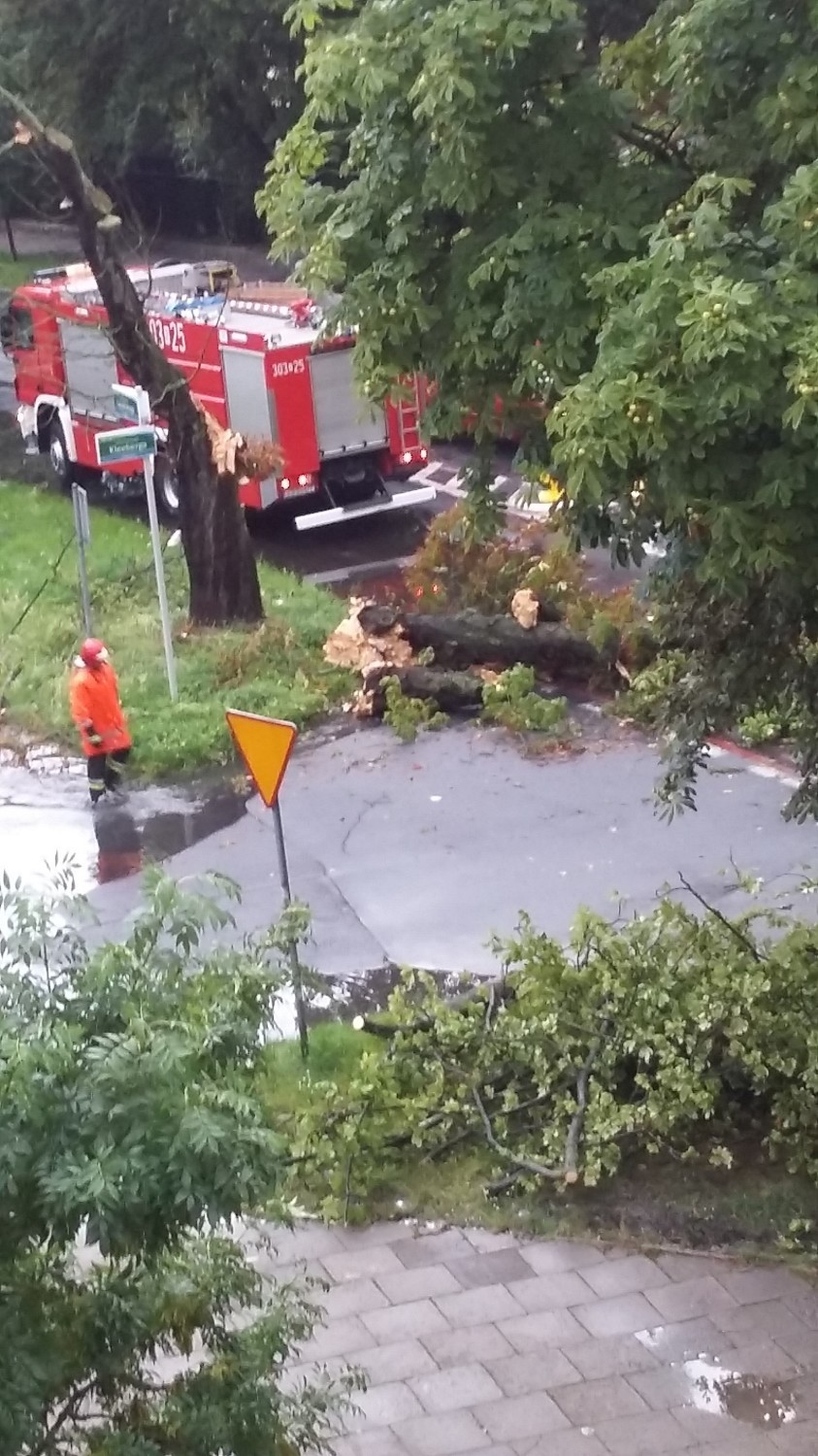 Strażacy walczą ze skutkami burzy w Szczecinie [wideo] 