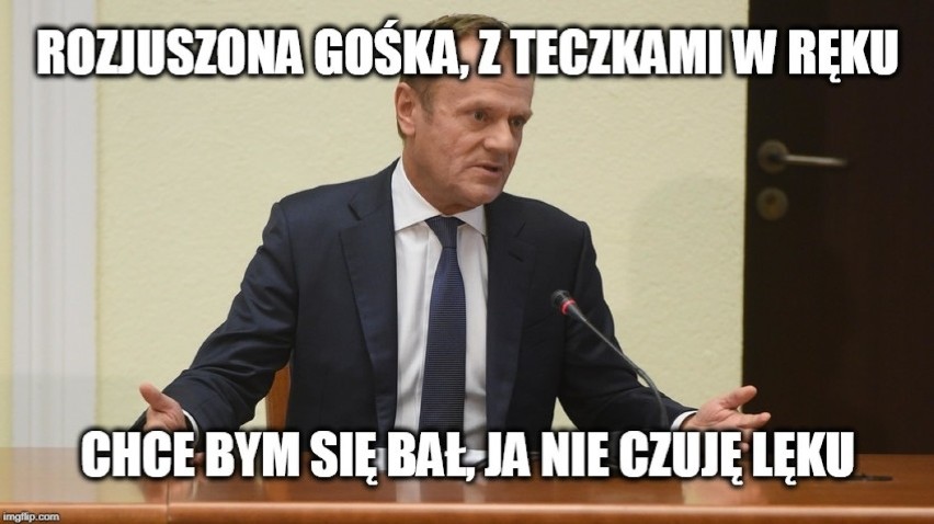 TUSK vs. WASSERMANN. Internauci komentują wczorajsze przesłuchanie. Najlepsze MEMY