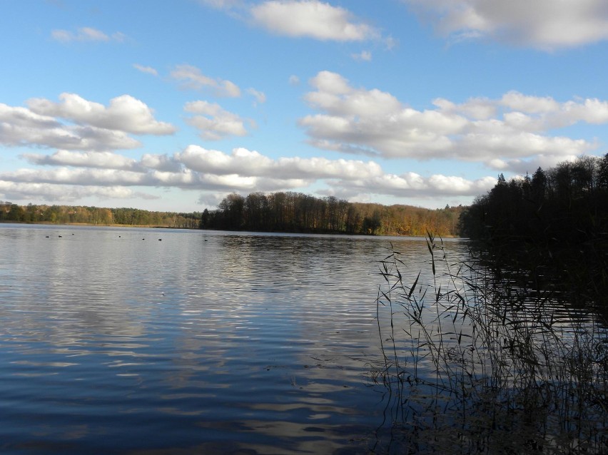 jezioro otomińskie