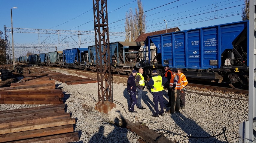 Pociąg towarowy wykoleił się w Strzelcach Opolskich. Linia kolejowa została zamknięta. Pociągi zastąpiła komunikacja zastępcza