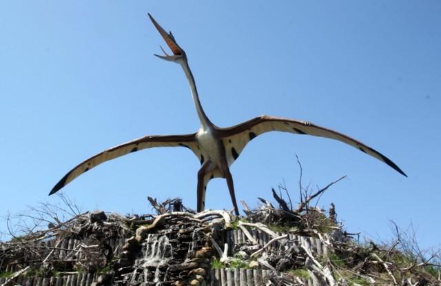 Łeba Park
Znajdziemy tu m.in. Park Dinozaurów - podczas spaceru ścieżkami, mostami i kładkami nad stawami, trzęsawiskami poprzez trzciny i w otoczeniu lasów poznajemy dziesiątki dinozaurów i innych stworzeń w skali 1:1, a wśród nich dwa kolosy: mający 45 metrów długości Seismosaurus i jedyny w Polsce Brachiosaurus o wysokości 13 metrów
-&nbsp;Łebuś Wydmozaurus. To również świetna okazja na bliskie spotkanie z żywymi zwierzętami takimi jak: koniki, króliki, krówki zebu, kangur, daniele, osiołki, antylopy, owieczki, muflony, kózki. 
W Łeba Parku dostępny jest także plac zabaw, Dinusiowa Kolejka, Zamek Strachu i Bajlandia. 

Zobacz także: Największe atrakcje turystyczne na Pomorzu cz. I