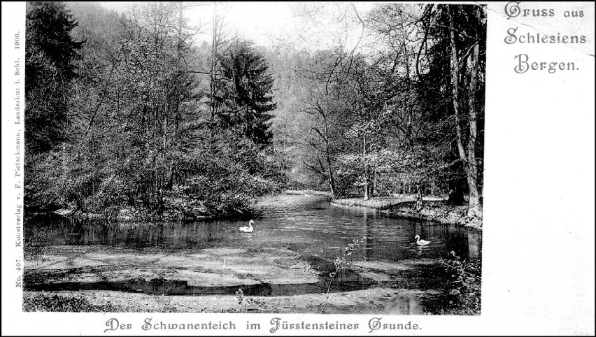 Pocztówka z 1900  roku wydrukowana w Kamiennej Górze....