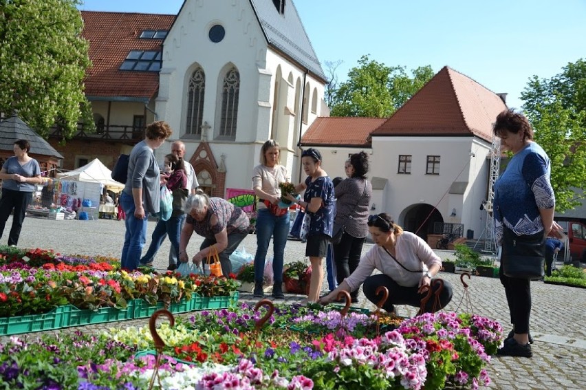 Tysiące kwiatów, ekologiczna żywność i koncerty na Zamku...
