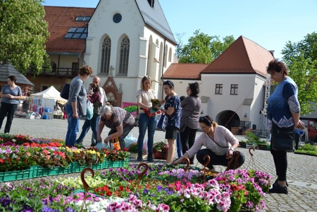 Tysiące kwiatów, ekologiczna żywność i koncerty na Zamku Piastowskim w Raciborzu