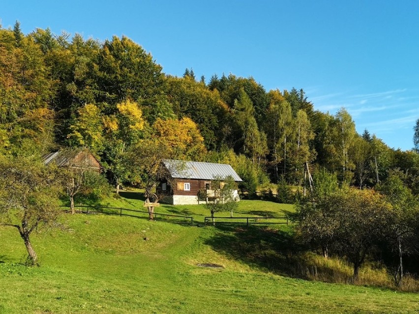 Piwniczna - Zdrój. Piękna jesienna trasa na Radziejową [ZDJĘCIA]