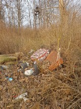Owidz: problem z nielegalnym wysypiskiem śmieci 