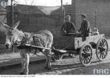 Archiwalne fotografie Pucka i Zatoki Puckiej. Tak wyglądało miasto m.in. w latach 30. XX wieku. Rozpoznasz dziś te miejsca? | ZDJĘCIA