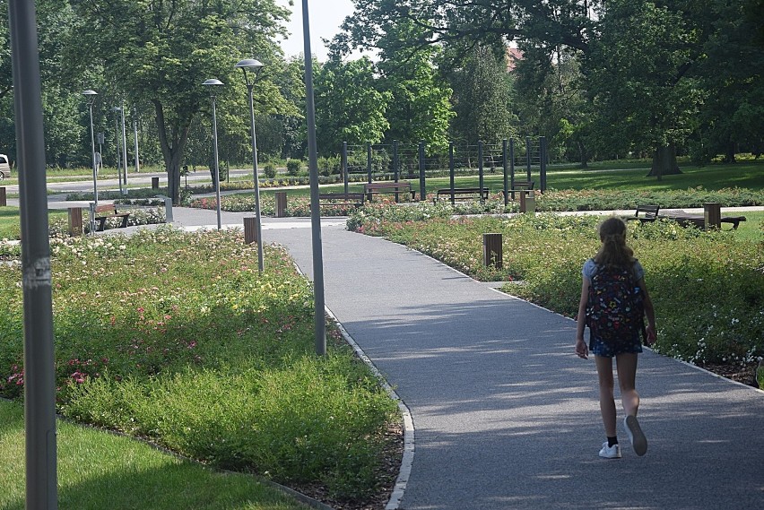 W parku Jagiellońskim powstał urokliwy zakątek.