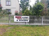 Gmina Blizanów. Mieszkańcy będą protestować przeciwko budowie ogromnej fermy drobiu