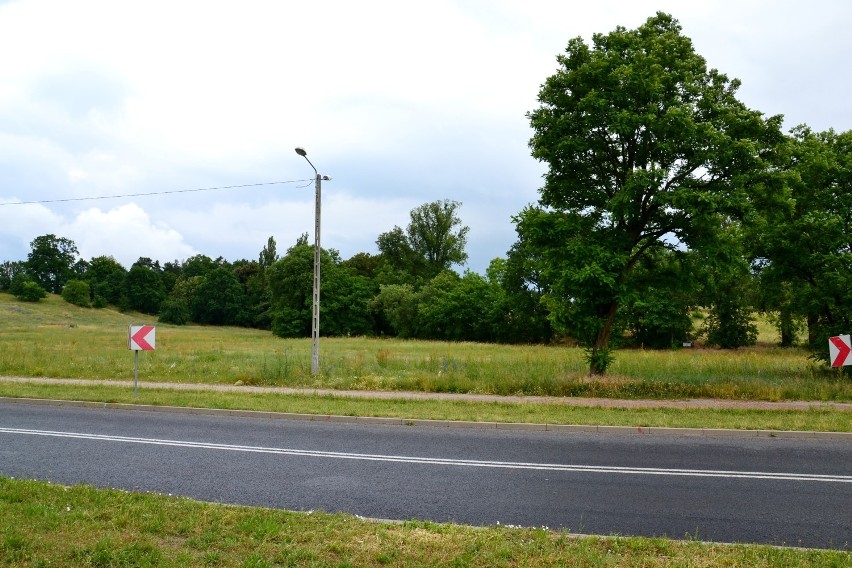 Miejsce, gdzie woodstockowicze spotykają się w Pokojowej...