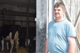 Podczas wichury w gminie Piątek padły krowy porażone prądem