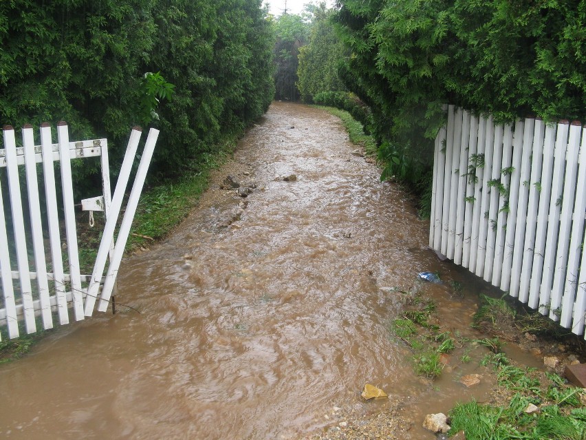 Powódź w Wojsławicach [Zdjęcia]