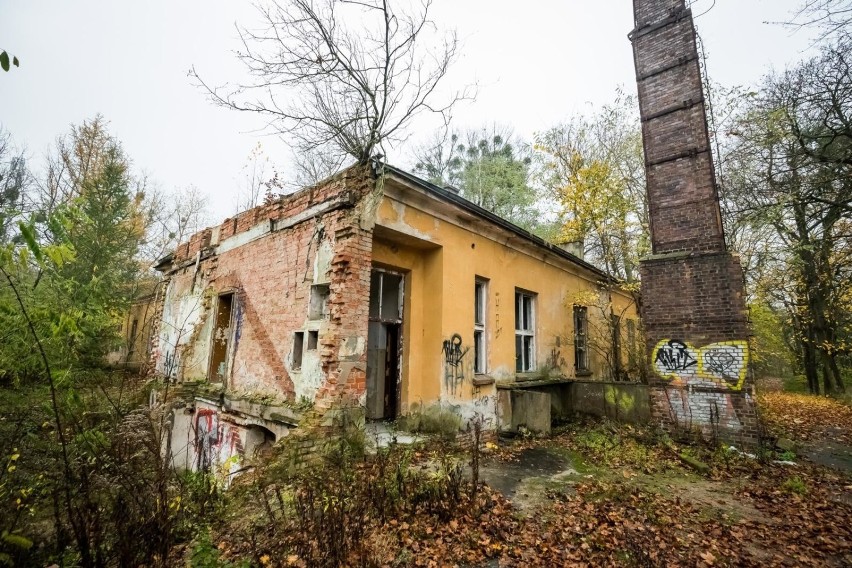 Restauracja w Rynkowie pod Bydgoszczą - kiedyś restauracja,...