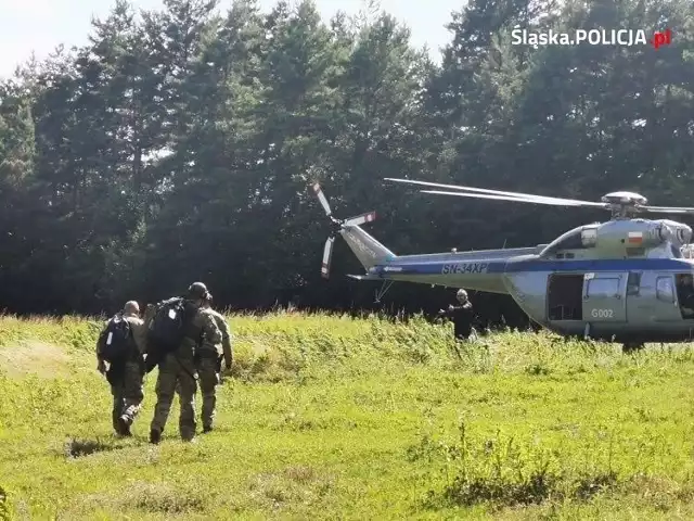 Gdzie jest puma z Ogrodzieńca? Policja prowadzi poszukiwania.

Zobacz kolejne zdjęcia. Przesuwaj zdjęcia w prawo - naciśnij strzałkę lub przycisk NASTĘPNE