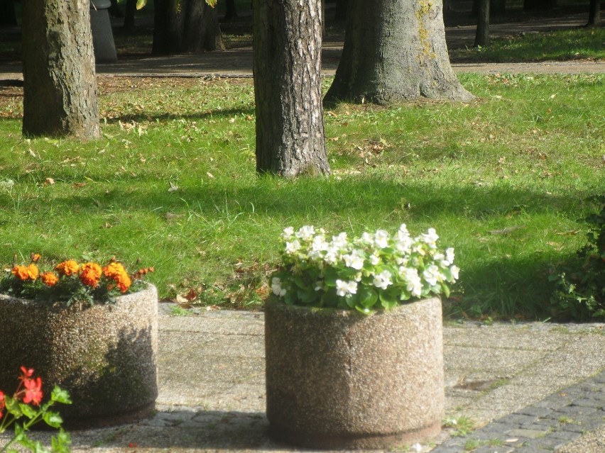 Jesień rozpoczęła się już na dobre. Na szczęście pierwsze...