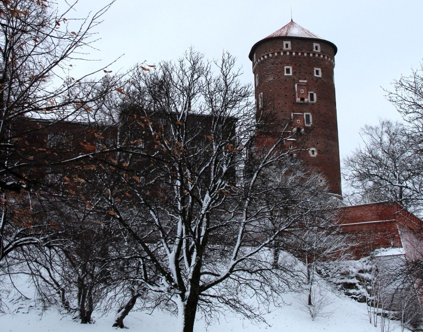 Wawel