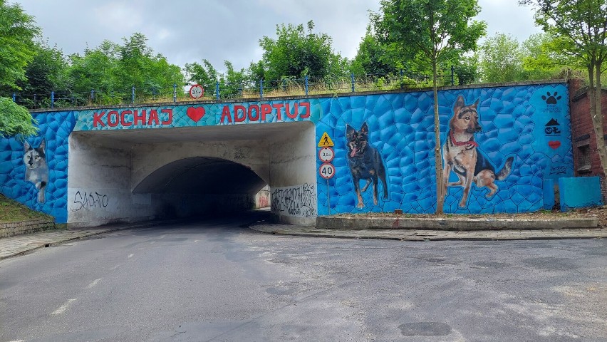 Kochaj-Adoptuj, to hasło widnieje na ścianie wiaduktu kolejowego w Lubsku. Mural prezentuje się wspaniale!