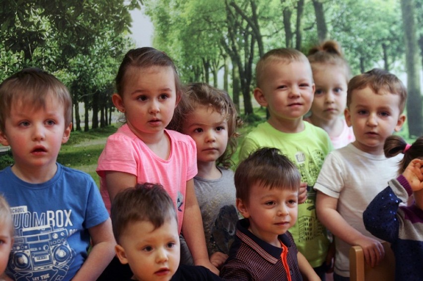 Przedszkole na medal. Grupa "Bees" z Akademii Happy Kids w Jeleniej Górze walczy o wasze głosy [ZDJĘCIA]