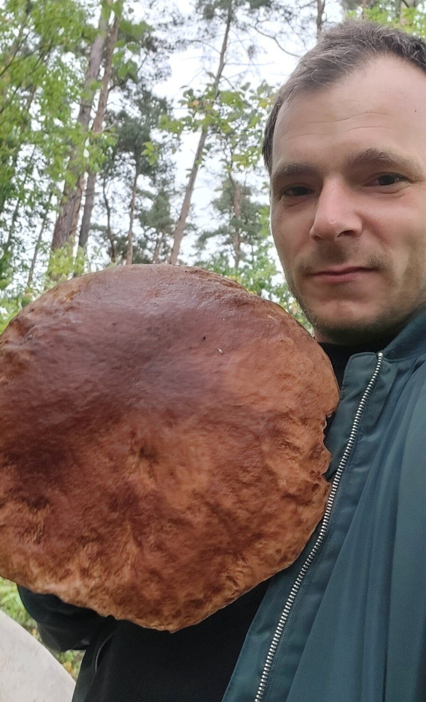 Grzyby obrodziły na Dolnym Śląsku. Cała Polska nam zazdrości!