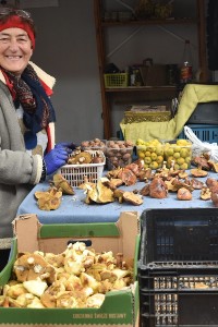 Wysyp grzybów… na targowisku! Znamy ceny [FOTO]