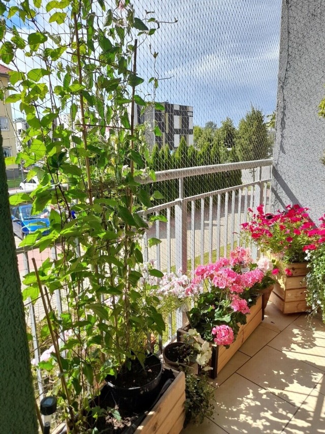 Konkurs na najładniejszy balkon i przydomowy ogródek ogłosiła Spółdzielnia Mieszkaniowa Lokator w Zduńskiej Woli