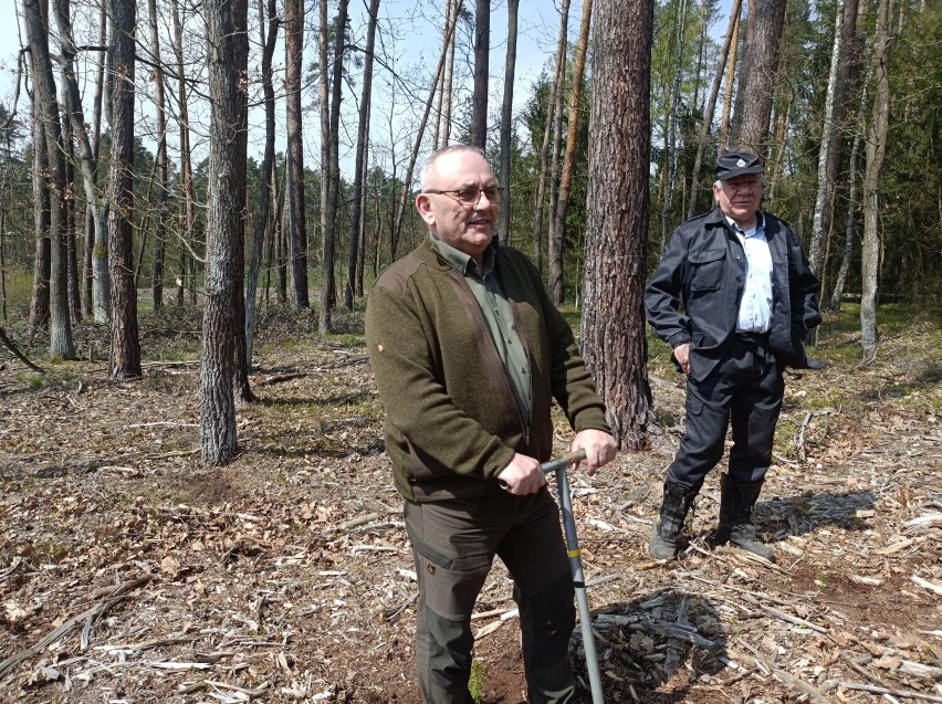 Sadzenie lasu papieskiego w Karczowiskach w gminie Lubin w...