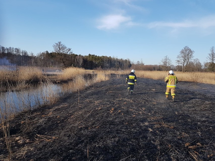 Pożary suchych trwa w powiecie bełchatowskim