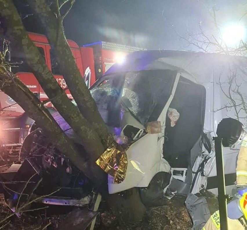 Pod Goleniowem bus uderzył w drzewo. Kierowca trafił do szpitala