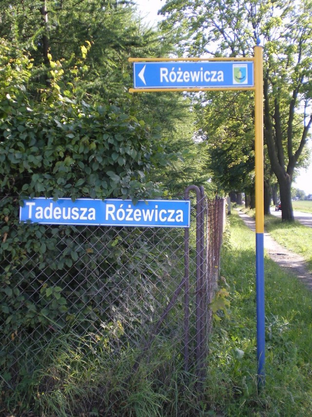 Ulica Tadeusza Różewicza w Pogórzu (gm. Kosakowo)