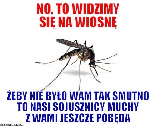 Idzie wiosna! Zobacz najśmieszniejsze memy i śmieszne obrazki [MEMY]