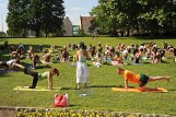 Ćwiczenia jogi w Poznaniu. Tym razem w parku Mickiewicza [ZDJĘCIA]