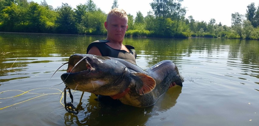 Największy sum złowiony w Starym Sączu przez Andrzeja...