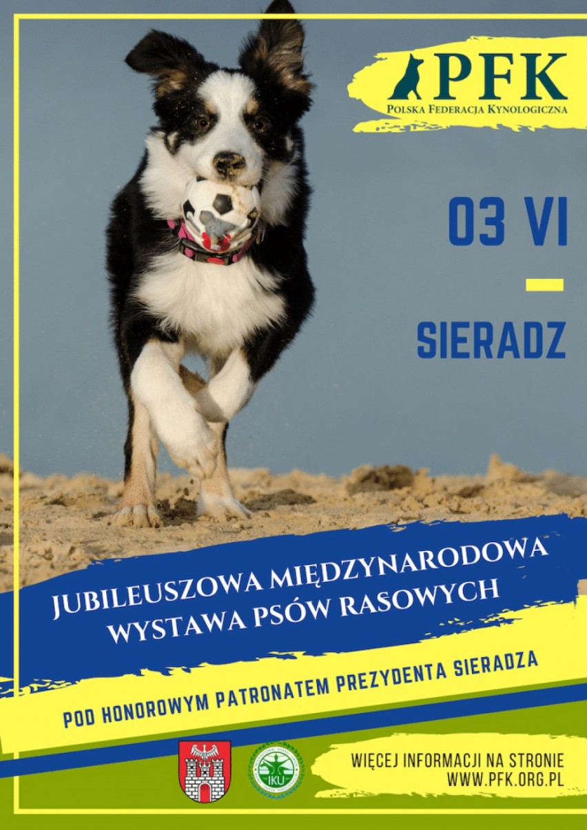 Atrakcyjny weekend w Sieradzu w sobotę i niedzielę 2-3 czerwca. Dni Sieradza, pomoc dla Kuby, psia wystawa, food trucki