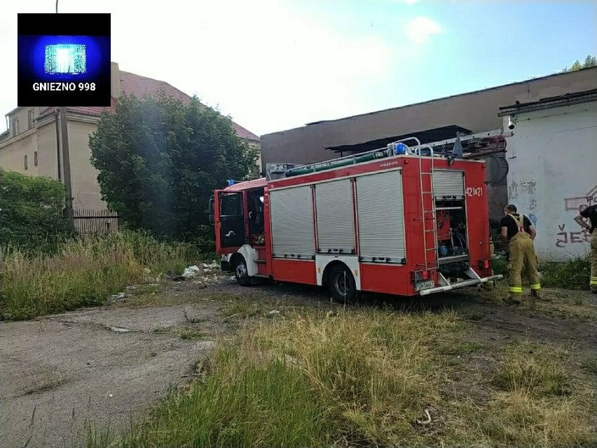 Ściółka leśna, śmieci – codzienność gnieźnieńskich strażaków