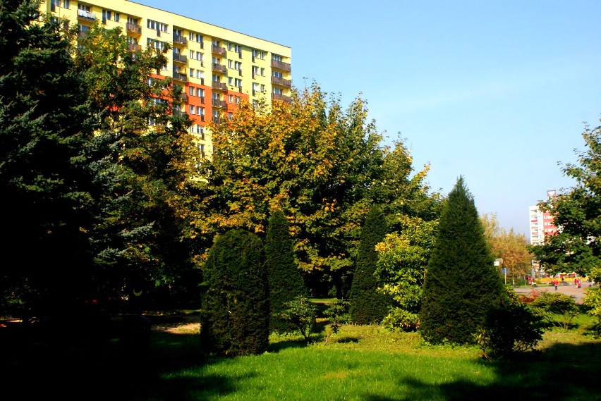Park Hallera w jesiennych barwach