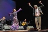 W Łodzi od piątku trwa Festiwal Viva Flamenco (ZDJĘCIA)