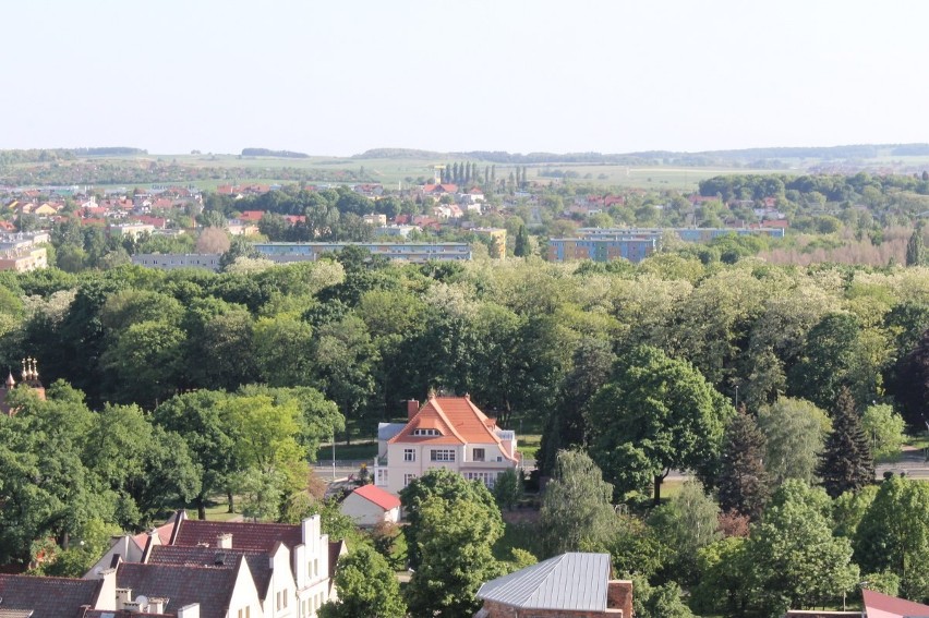 Widok z głogowskich wież (Foto)