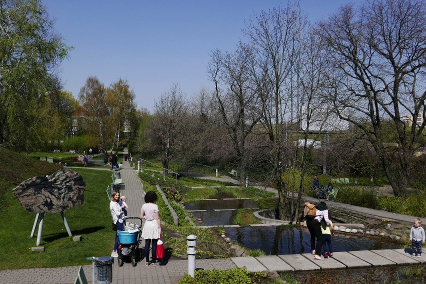 Ogród na dachu BUW powoli rozkwita. Uwielbiane przez warszawiaków miejsce jest już otwarte [ZDJĘCIA]