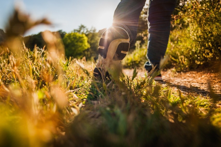 MOSiR w Radomsku rozpoczyna sezon trekkingowy. Na początek Mstów - Skała Miłości - Kłobukowice - Skrzydlów