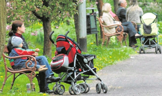 Koszalinianie są bardzo zainteresowani pieniędzmi z programu 500+